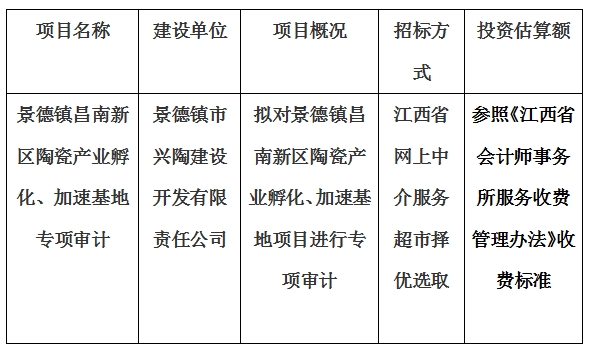 景德鎮(zhèn)市興陶建設開發(fā)有限責任公司加速基地及孵化基地專項審計項目計劃公告