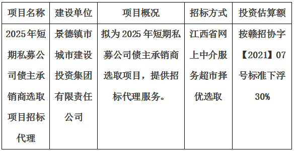 2025年短期私募公司債主承銷商選取項(xiàng)目招標(biāo)代理計(jì)劃公告